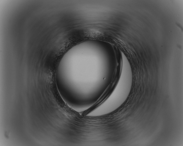 X0000091720750200708311138