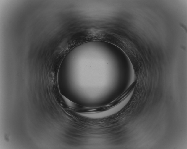 X0000091720752200708311138