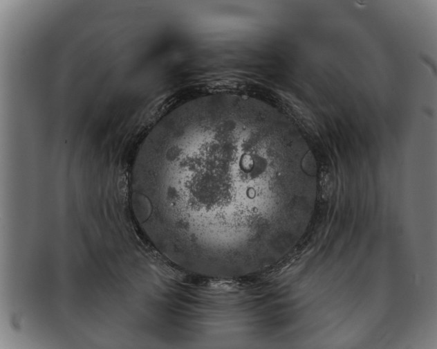 X0000091720753200708311138