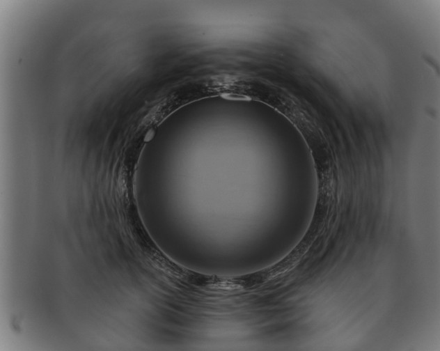 X0000091720754200708311138