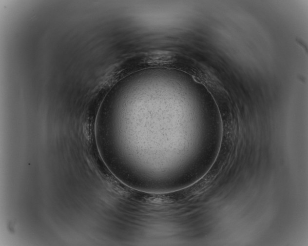 X0000091720755200708311138