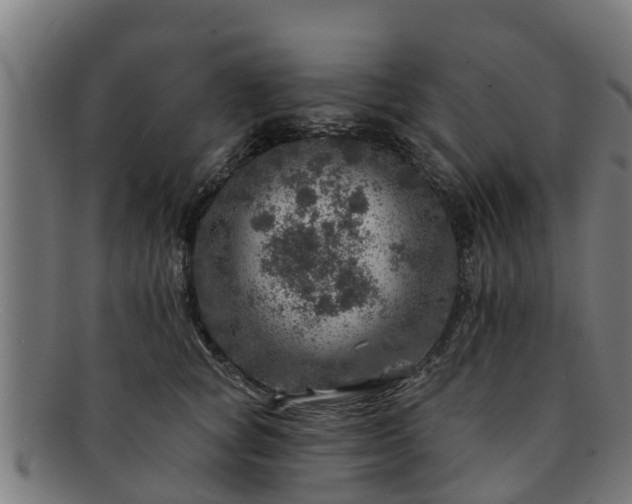 X0000091720757200708311138