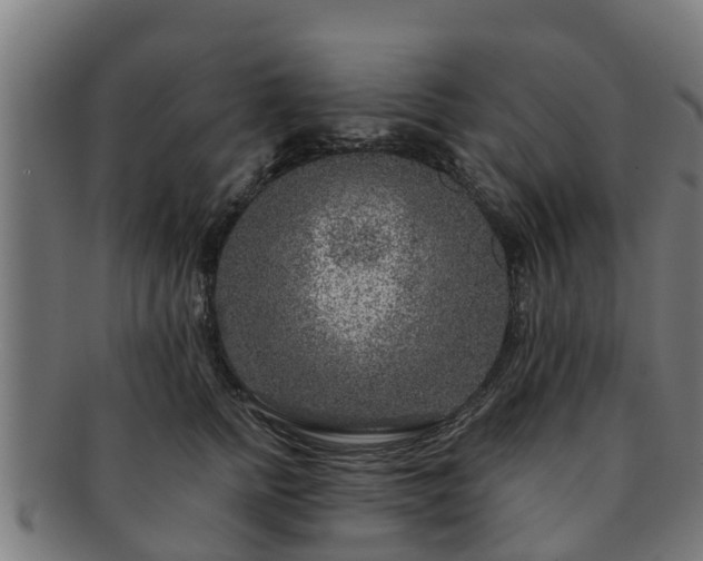 X0000091720758200708311138