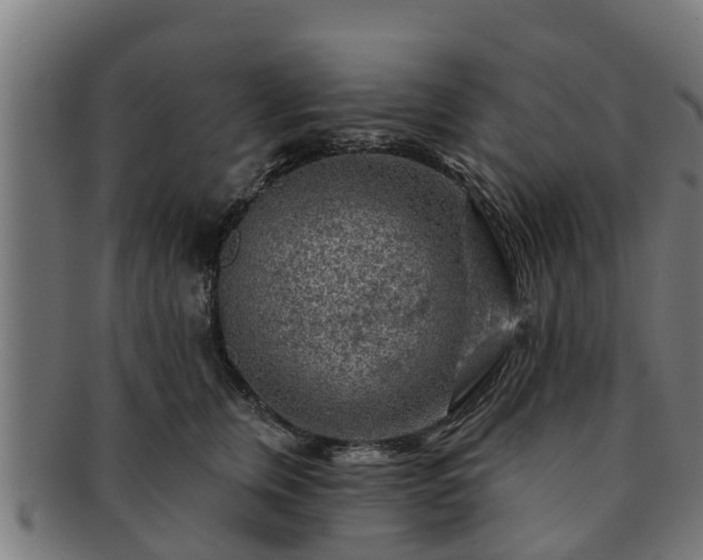 X0000091720759200708311138