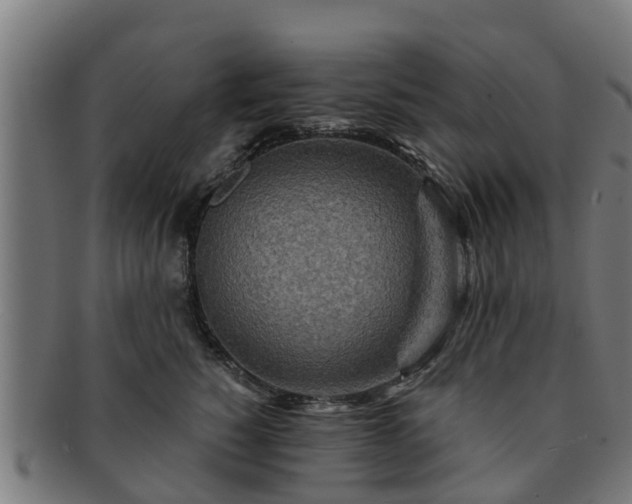 X0000091720760200708311138