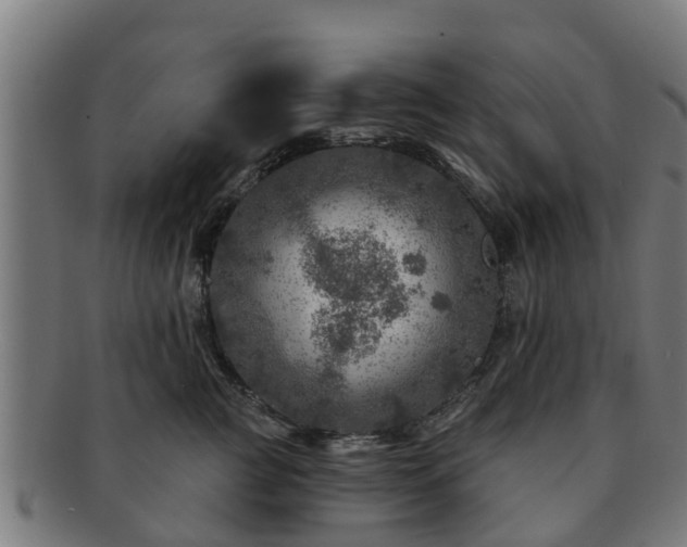 X0000091720761200708311138