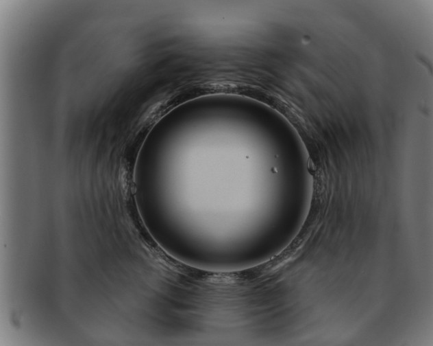 X0000091720762200708311138