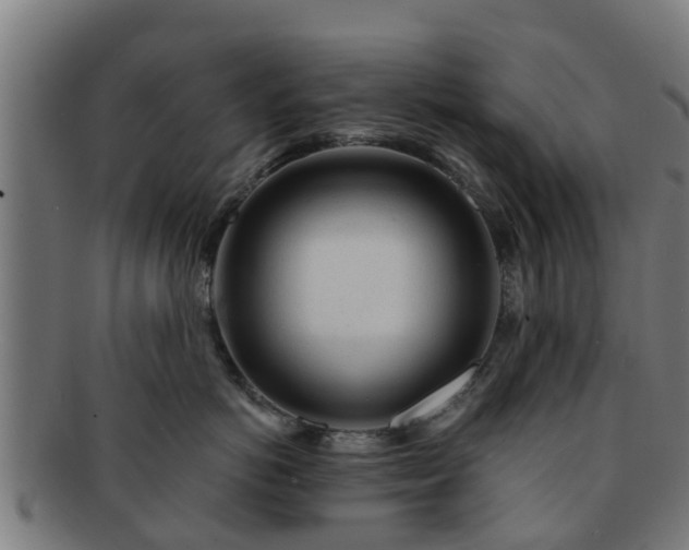 X0000091720766200708311138