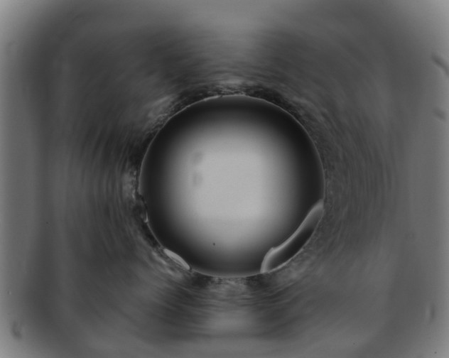 X0000091720768200708311138