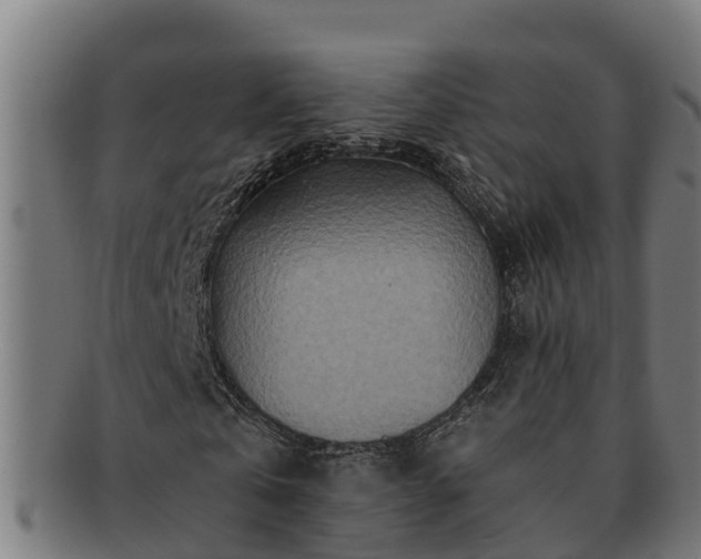 X0000091720769200708311138