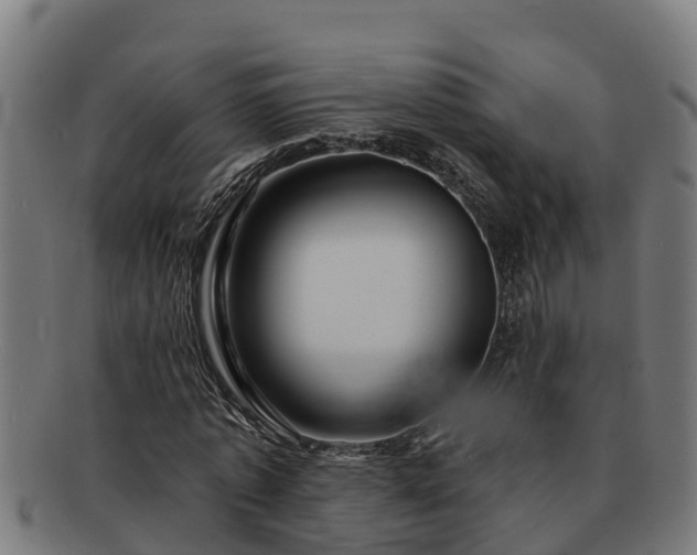 X0000091720773200708311138