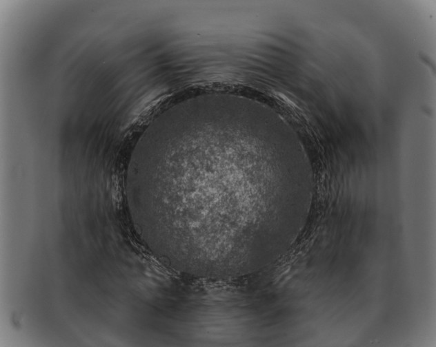 X0000091720774200708311138