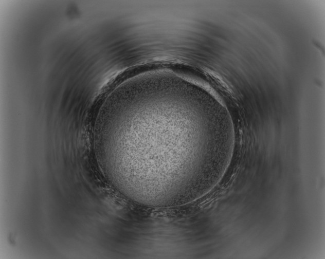 X0000091720776200708311138