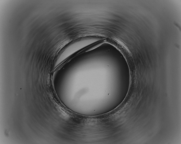 X0000091720777200708311138