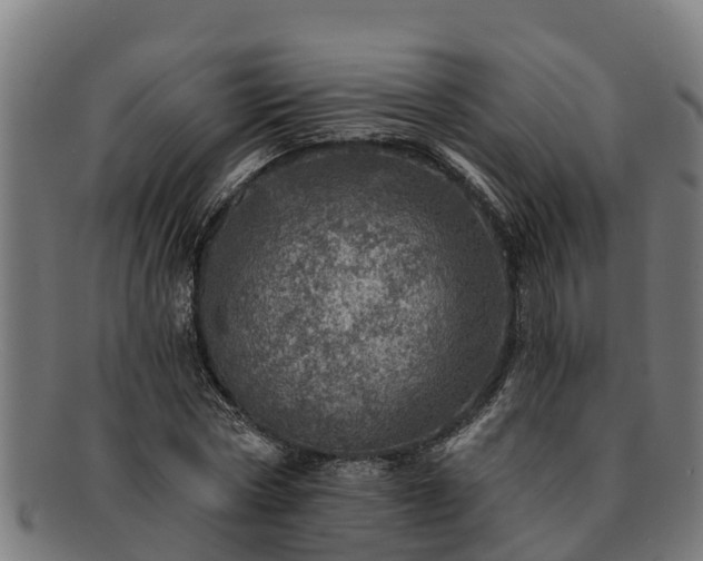 X0000091720778200708311138