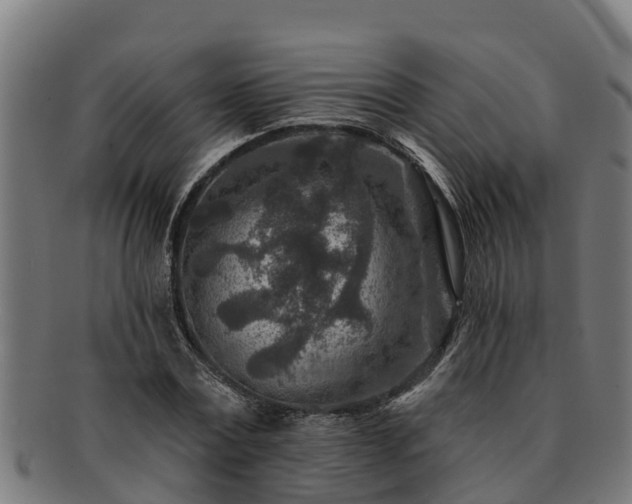 X0000091720779200708311138