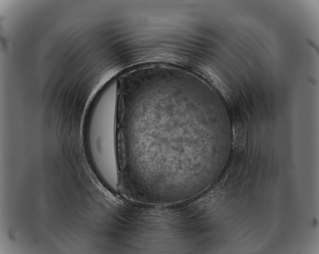 X0000091720780200708311138