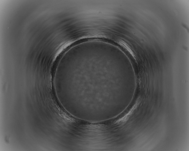 X0000091720781200708311138