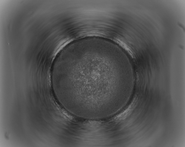 X0000091720782200708311137