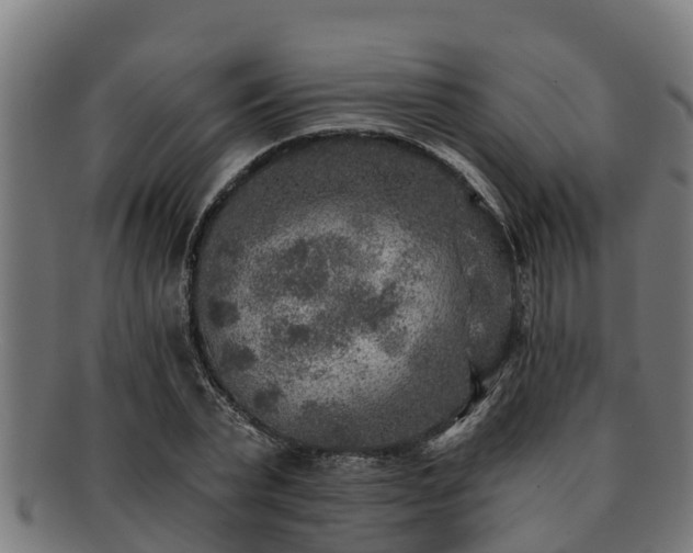 X0000091720783200708311137