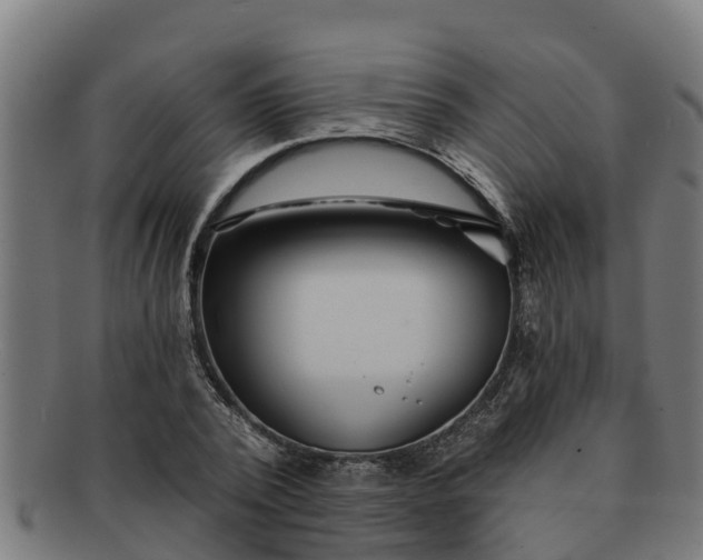 X0000091720784200708311137