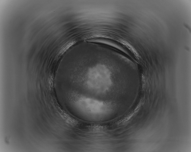 X0000091720785200708311137