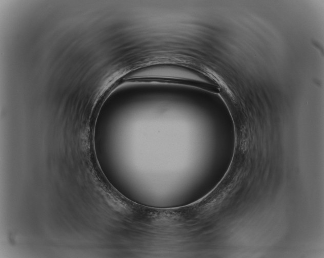 X0000091720786200708311137