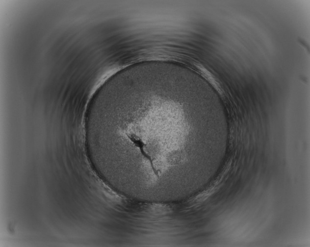 X0000091720787200708311137