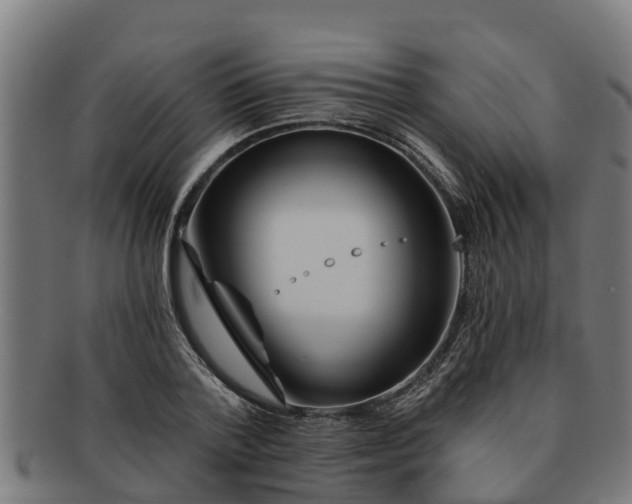 X0000091720788200708311137