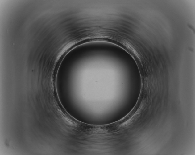 X0000091720789200708311137