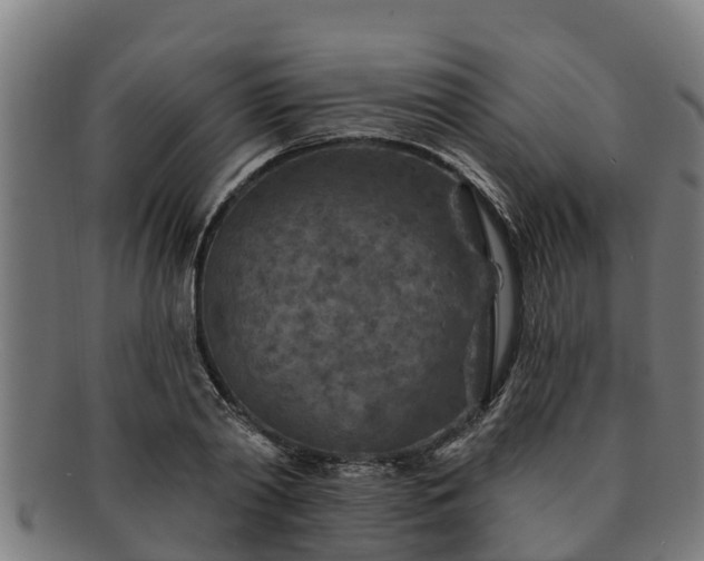 X0000091720790200708311137