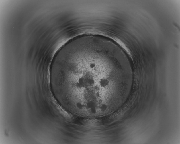 X0000091720791200708311137