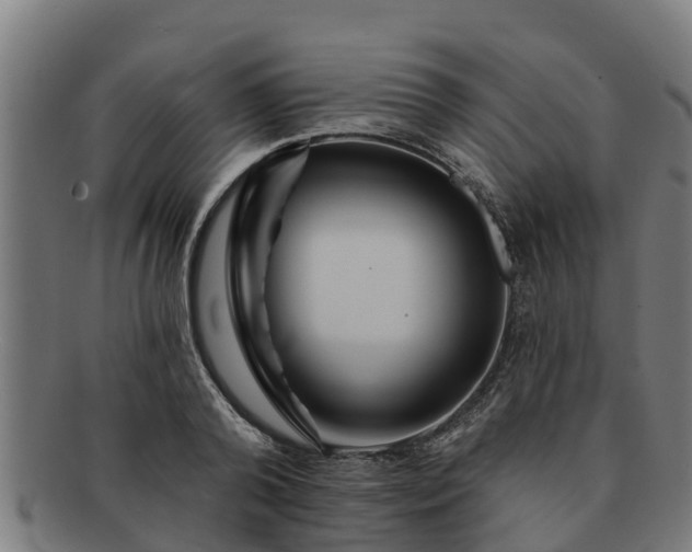 X0000091720792200708311137