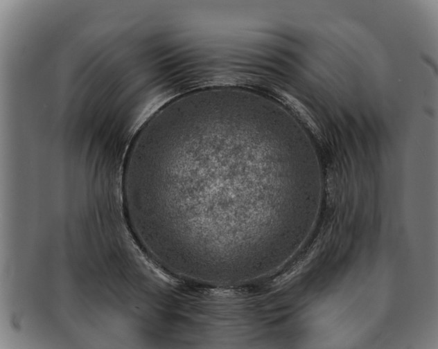 X0000091720794200708311137