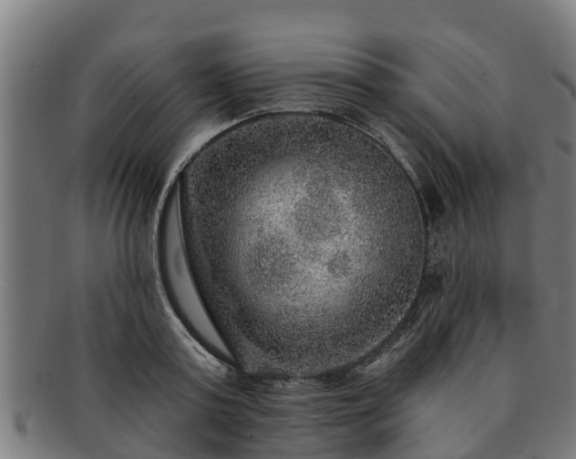 X0000091720795200708311137