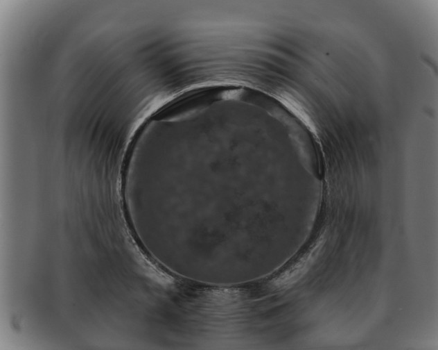 X0000091720797200708311137