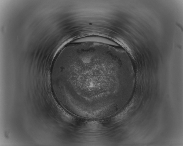 X0000091720798200708311137