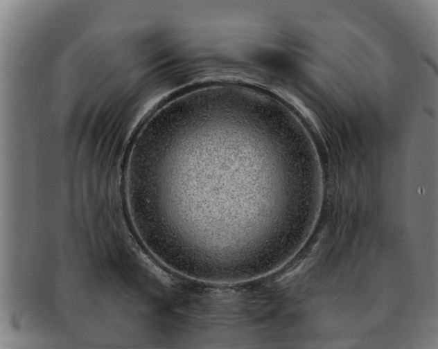 X0000091720799200708311137