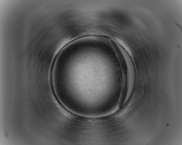 X0000091720803200708311137