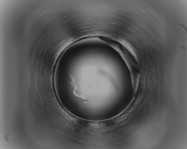 X0000091720805200708311137