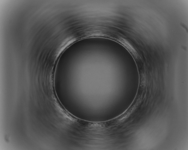 X0000091720806200708311137