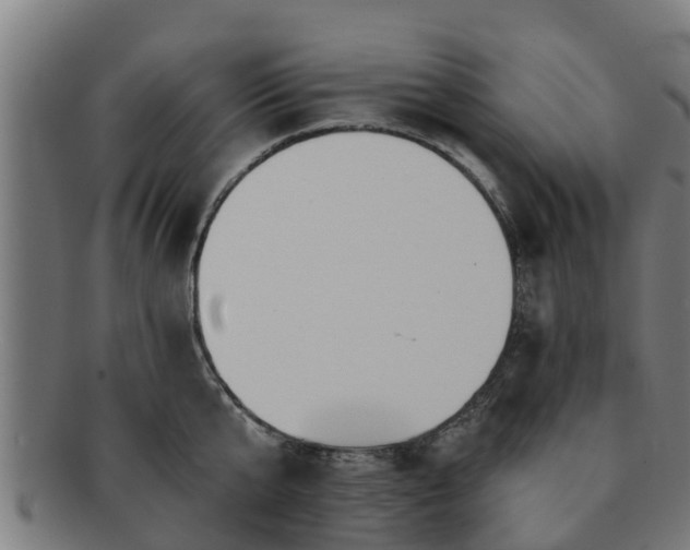 X0000091720807200708311137