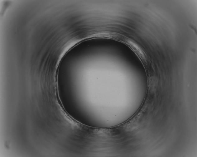 X0000091720808200708311137