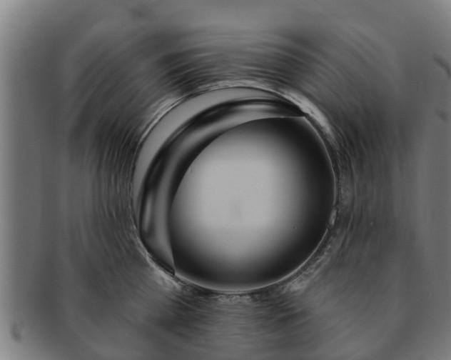 X0000091720809200708311137