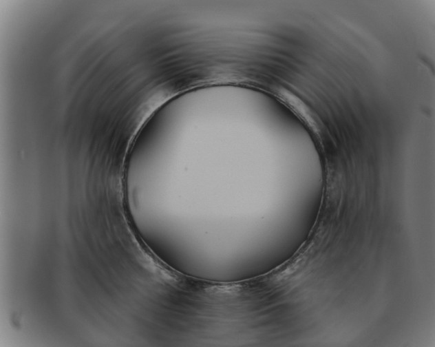 X0000091720810200708311137