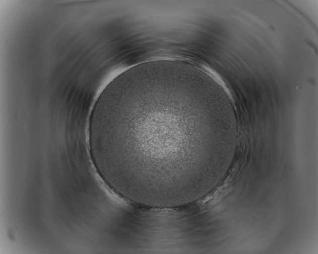 X0000091720811200708311137