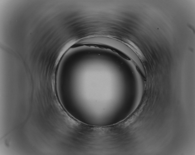 X0000091720812200708311137