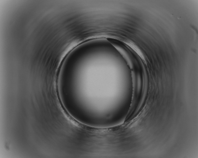 X0000091720813200708311137