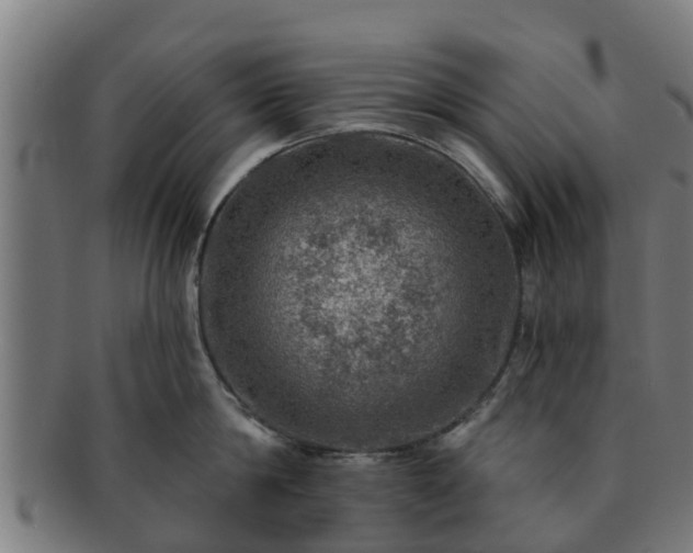 X0000091720814200708311137