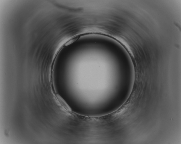 X0000091720815200708311137